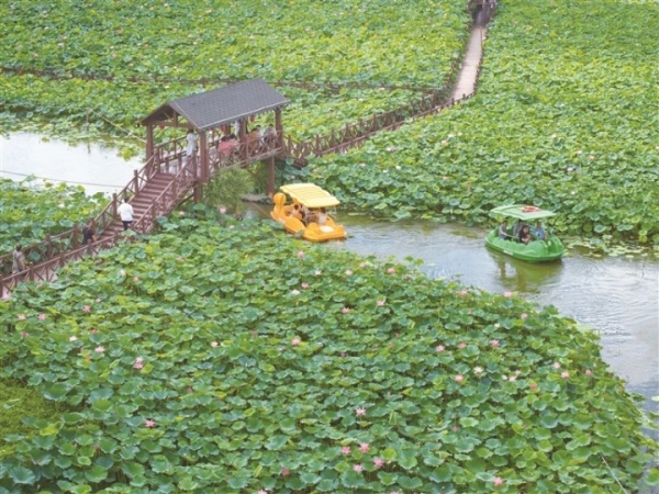 平園池村_副本.jpg